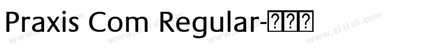 Praxis Com Regular字体转换